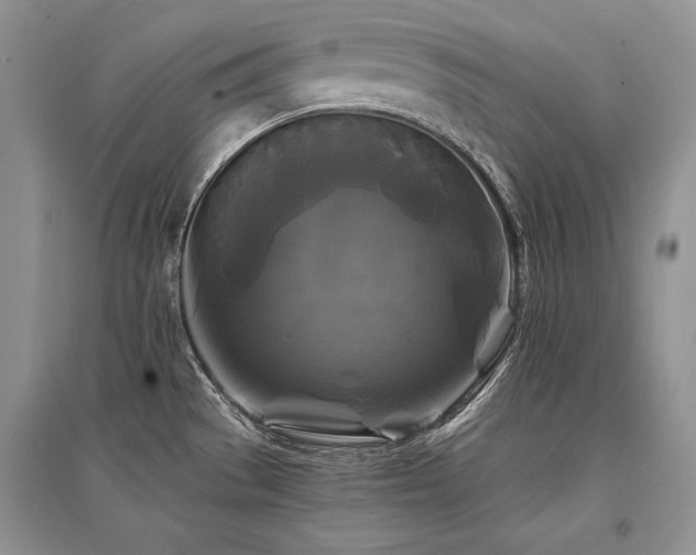 X0000096381529200801241225