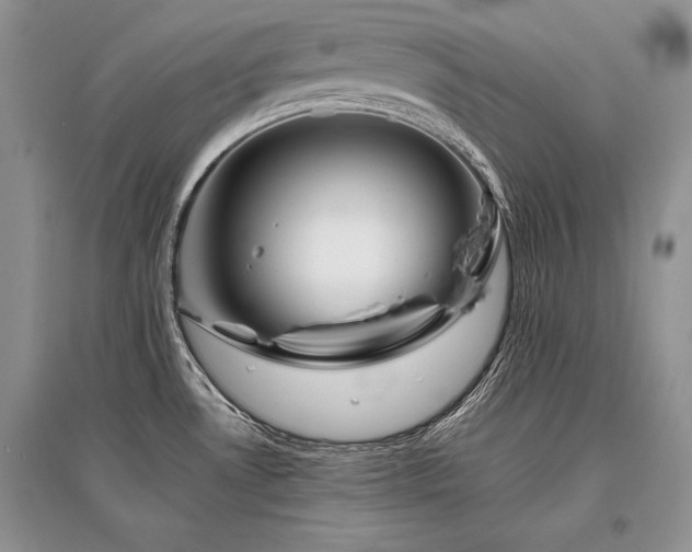 X0000096381530200801241225