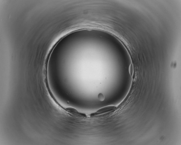 X0000096381531200801241225