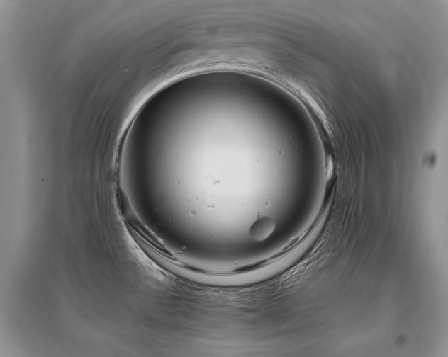 X0000096381532200801241225