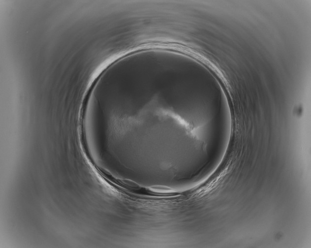 X0000096381533200801241225