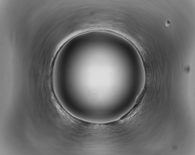 X0000096381534200801241225