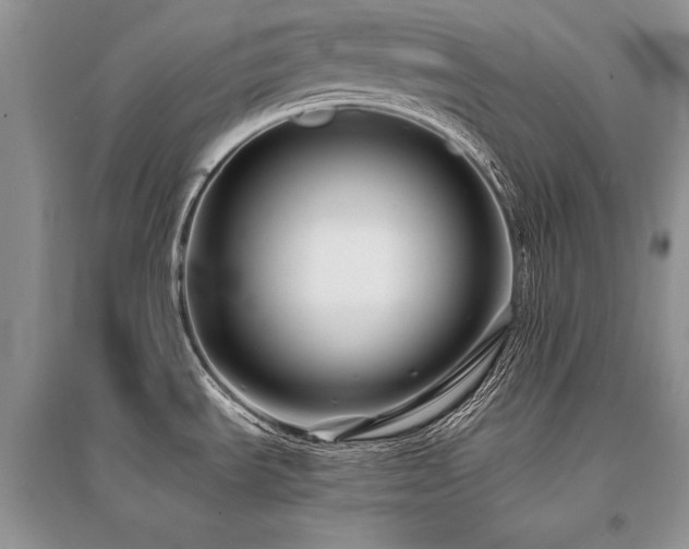 X0000096381535200801241225