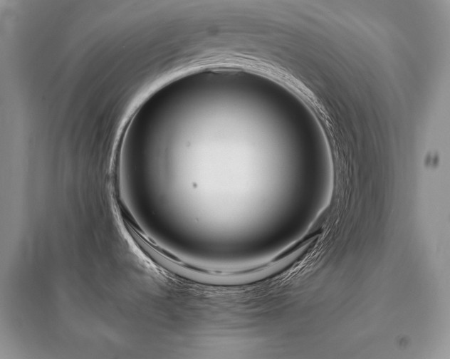 X0000096381536200801241225