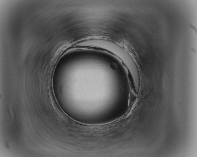 X0000096380001200801311309