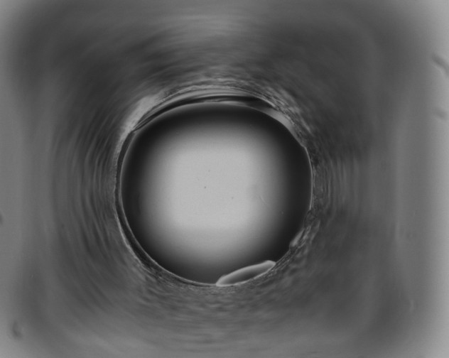 X0000096380003200801311309