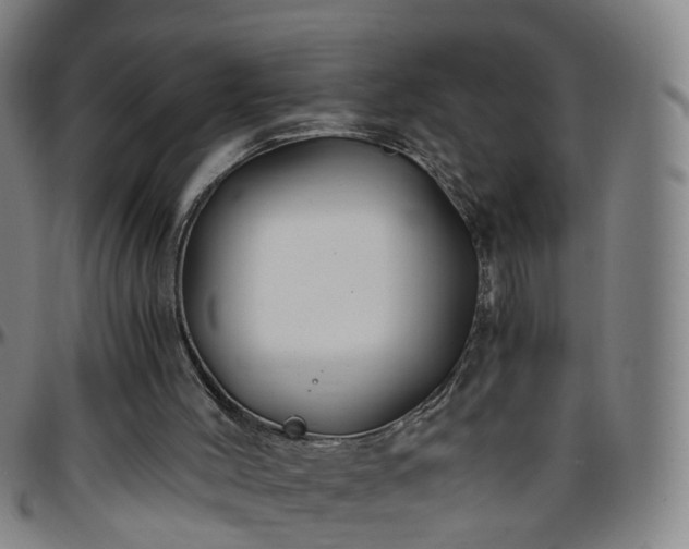 X0000096380004200801311309