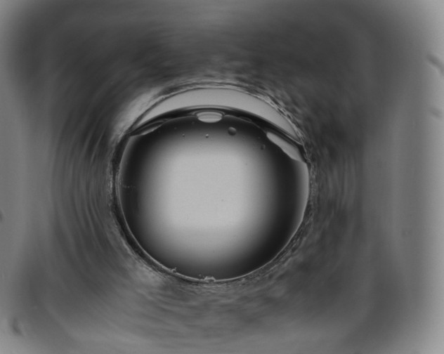 X0000096380005200801311309