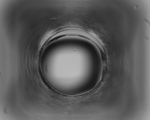 X0000096380007200801311309