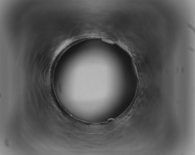 X0000096380008200801311309