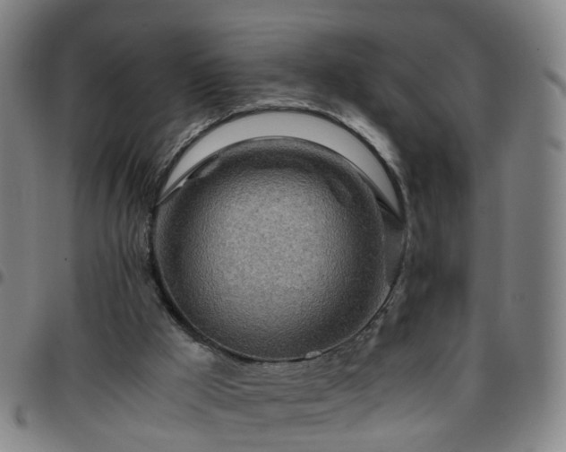 X0000096380009200801311309