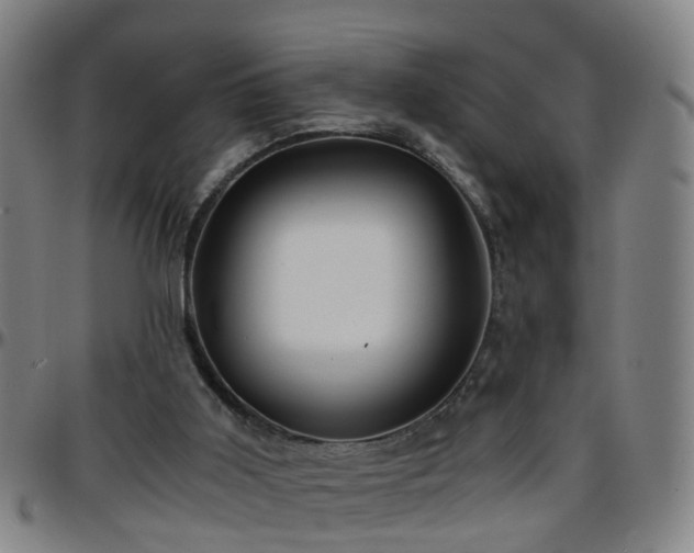 X0000096380011200801311309