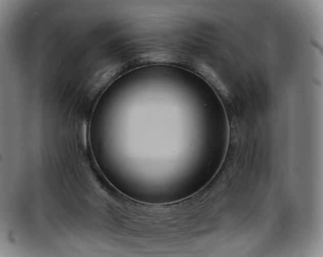 X0000096380014200801311309