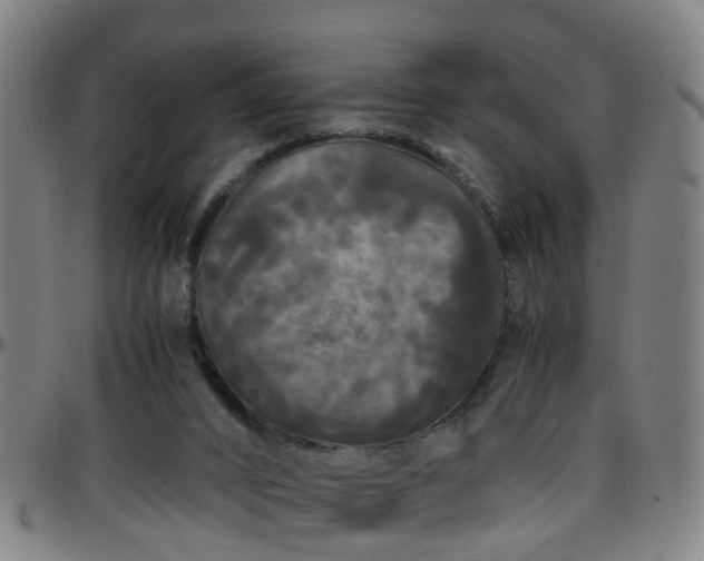 X0000096380016200801311309