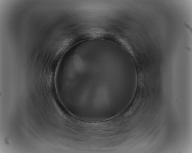 X0000096380018200801311309