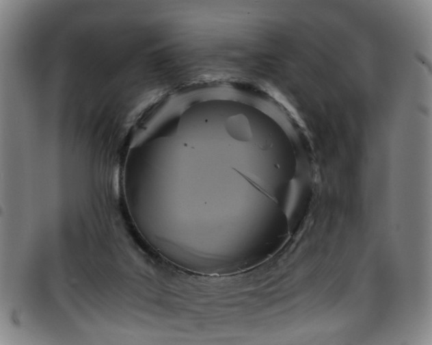 X0000096380019200801311309