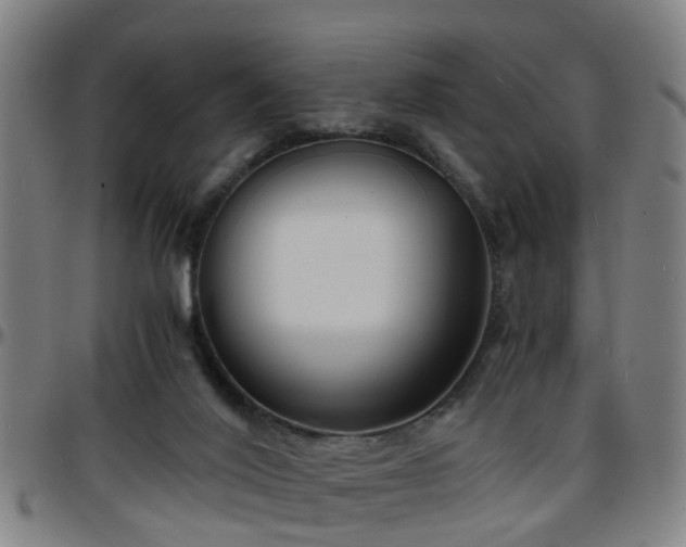 X0000096380020200801311309