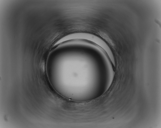 X0000096380021200801311309