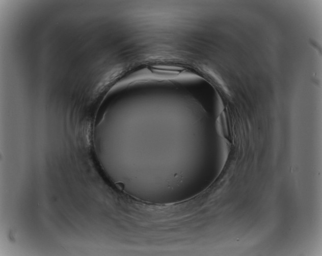 X0000096380023200801311309