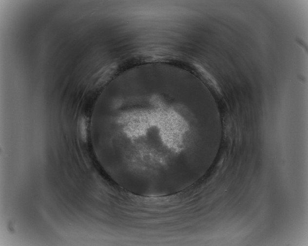 X0000096380026200801311309