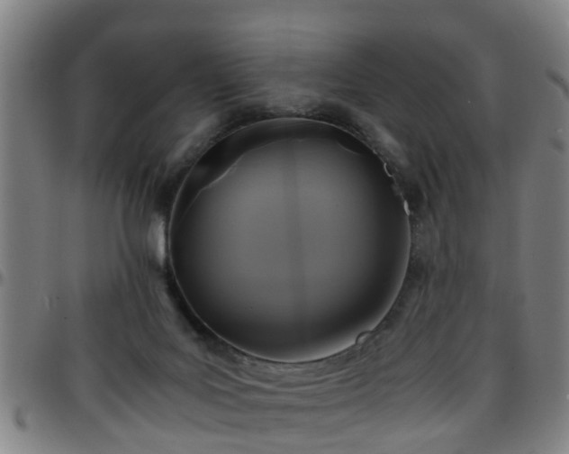 X0000096380027200801311309