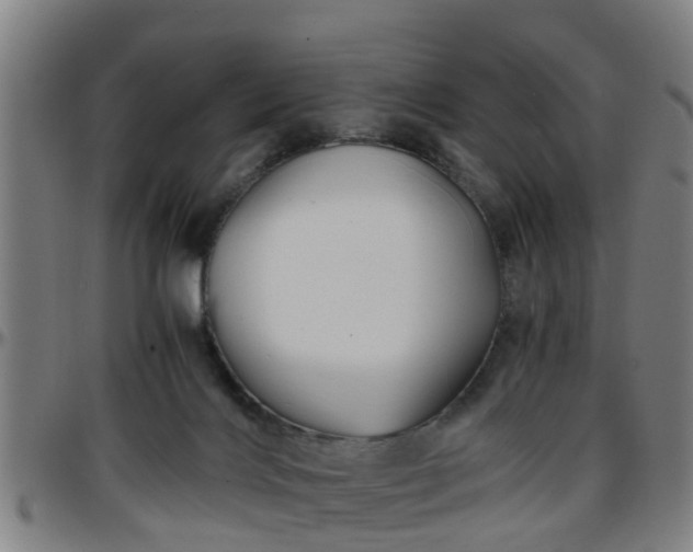 X0000096380028200801311309