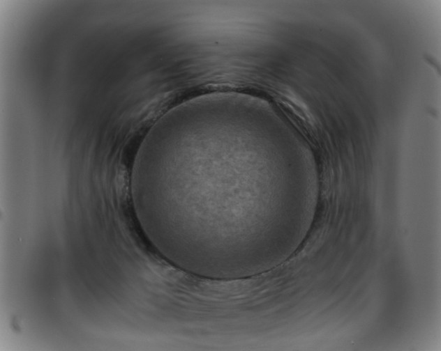 X0000096380029200801311309