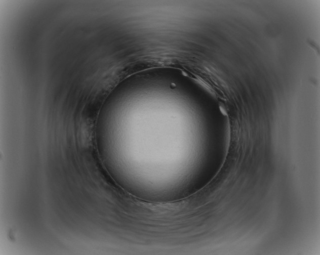 X0000096380030200801311309