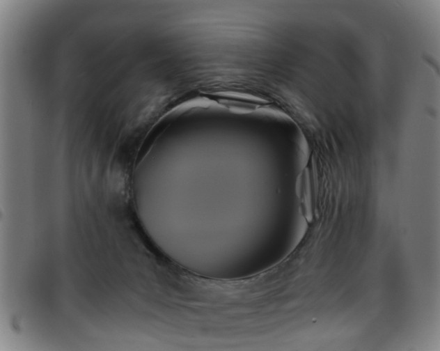 X0000096380031200801311309