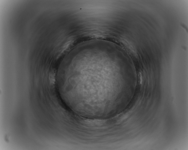 X0000096380032200801311309