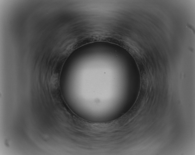 X0000096380034200801311309