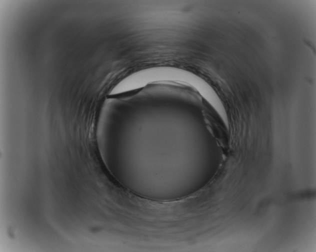 X0000096380035200801311309