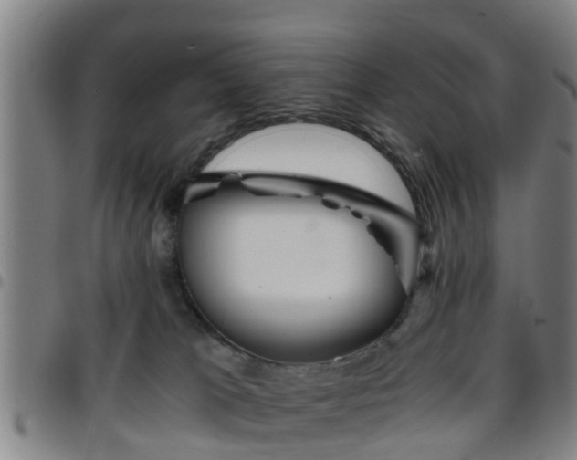 X0000096380037200801311309