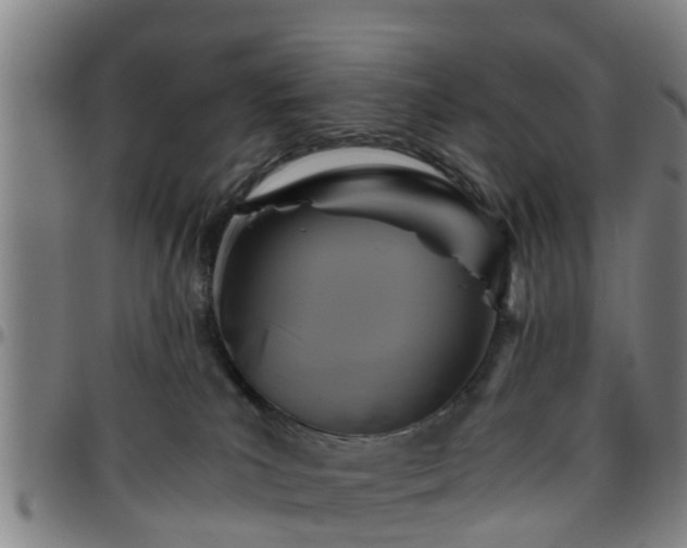 X0000096380039200801311309