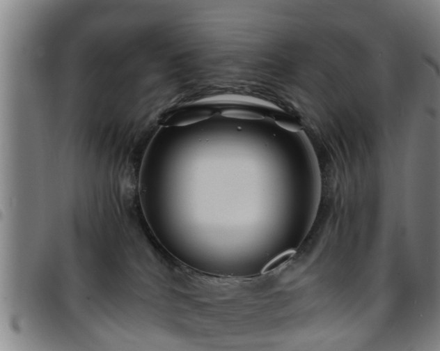 X0000096380040200801311309