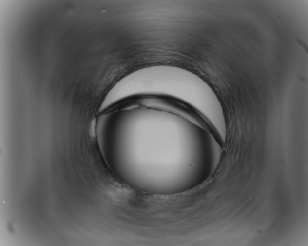 X0000096380041200801311309