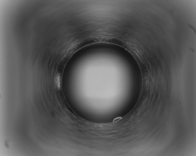 X0000096380042200801311309