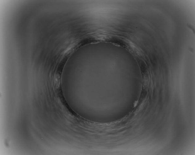 X0000096380043200801311309