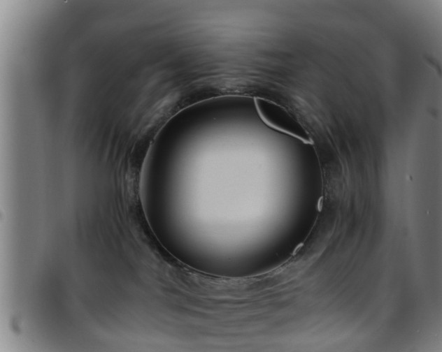 X0000096380044200801311309