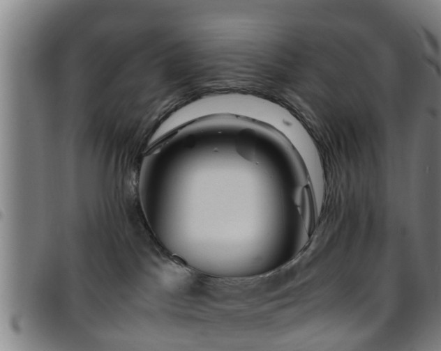 X0000096380045200801311309