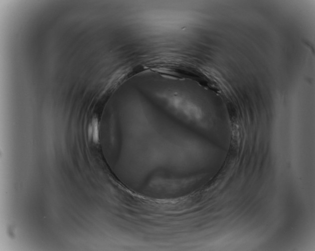 X0000096380046200801311309