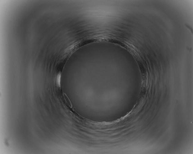 X0000096380047200801311309