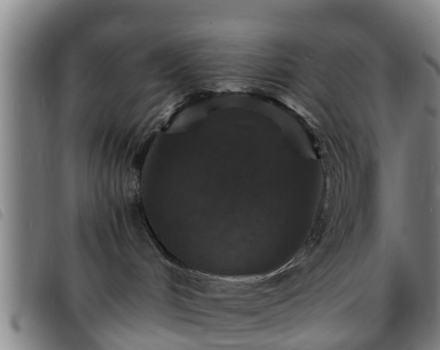 X0000096380048200801311309