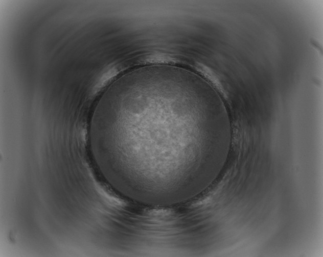 X0000096380063200801311308