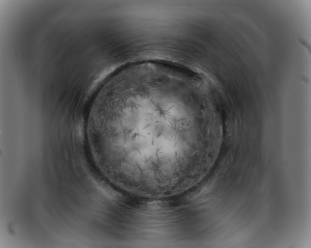 X0000096380064200801311308