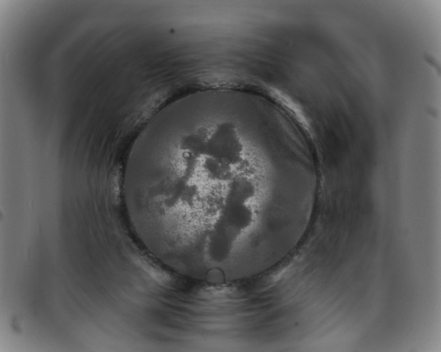 X0000096380065200801311308