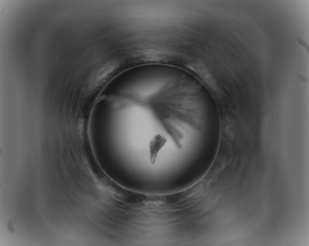 X0000096380066200801311308