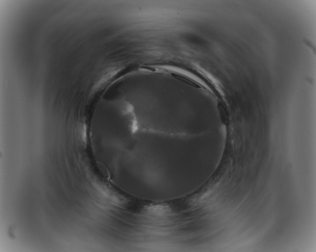 X0000096380067200801311308