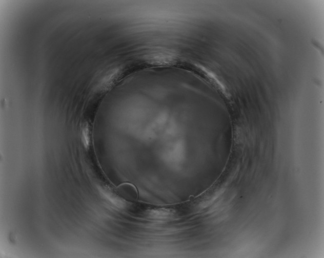 X0000096380069200801311308