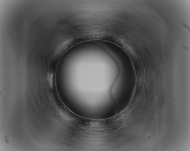 X0000096380070200801311308